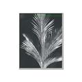 Picture of Pinneedles II _GroupedProduct_Rectangle_Portrait_Canvas_Framed_