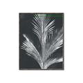 Picture of Pinneedles II _GroupedProduct_Rectangle_Portrait_Canvas_Framed_
