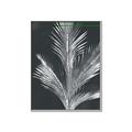 Picture of Pinneedles II _GroupedProduct_Rectangle_Portrait_Canvas_Framed_