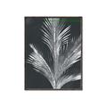 Picture of Pinneedles II _GroupedProduct_Rectangle_Portrait_Canvas_Framed_