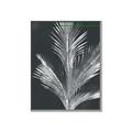 Picture of Pinneedles II _GroupedProduct_Rectangle_Portrait_Canvas_Framed_