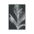 Picture of Pinneedles II _GroupedProduct_Rectangle_Portrait_Canvas_Framed_