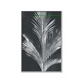 Picture of Pinneedles II _GroupedProduct_Rectangle_Portrait_Canvas_Framed_