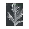 Picture of Pinneedles II _GroupedProduct_Rectangle_Portrait_Canvas_Framed_