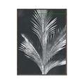 Picture of Pinneedles II _GroupedProduct_Rectangle_Portrait_Canvas_Framed_