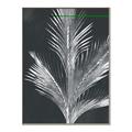 Picture of Pinneedles II _GroupedProduct_Rectangle_Portrait_Canvas_Framed_