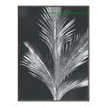 Picture of Pinneedles II _GroupedProduct_Rectangle_Portrait_Canvas_Framed_