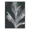 Picture of Pinneedles II _GroupedProduct_Rectangle_Portrait_Canvas_Framed_