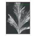 Picture of Pinneedles II _GroupedProduct_Rectangle_Portrait_Canvas_Framed_