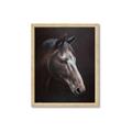 Picture of Hugo  _GroupedProduct_Rectangle_Portrait_Framed_Matted_