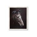 Picture of Hugo  _GroupedProduct_Rectangle_Portrait_Framed_Matted_