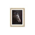 Picture of Hugo  _GroupedProduct_Rectangle_Portrait_Framed_Matted_