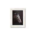 Picture of Hugo  _GroupedProduct_Rectangle_Portrait_Framed_Matted_