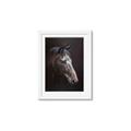 Picture of Hugo  _GroupedProduct_Rectangle_Portrait_Framed_Matted_