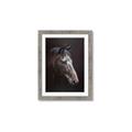Picture of Hugo  _GroupedProduct_Rectangle_Portrait_Framed_Matted_