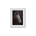 Picture of Hugo  _GroupedProduct_Rectangle_Portrait_Framed_Matted_