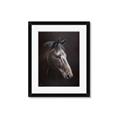 Picture of Hugo  _GroupedProduct_Rectangle_Portrait_Framed_Matted_
