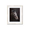 Picture of Hugo  _GroupedProduct_Rectangle_Portrait_Framed_Matted_