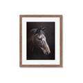 Picture of Hugo  _GroupedProduct_Rectangle_Portrait_Framed_Matted_