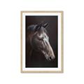 Picture of Hugo  _GroupedProduct_Rectangle_Portrait_Framed_Matted_