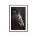 Picture of Hugo  _GroupedProduct_Rectangle_Portrait_Framed_Matted_