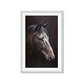 Picture of Hugo  _GroupedProduct_Rectangle_Portrait_Framed_Matted_