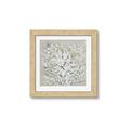 Picture of Baby's  Breath _GroupedProduct_Square_Framed_Matted_