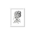 Picture of Flowers and leaves II _GroupedProduct_Rectangle_Portrait_Framed_Matted_