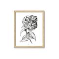 Picture of Flowers and leaves II _GroupedProduct_Rectangle_Portrait_Framed_Matted_