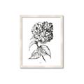 Picture of Flowers and leaves II _GroupedProduct_Rectangle_Portrait_Framed_Matted_