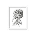 Picture of Flowers and leaves II _GroupedProduct_Rectangle_Portrait_Framed_Matted_