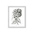 Picture of Flowers and leaves II _GroupedProduct_Rectangle_Portrait_Framed_Matted_