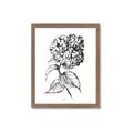 Picture of Flowers and leaves II _GroupedProduct_Rectangle_Portrait_Framed_Matted_