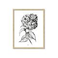 Picture of Flowers and leaves II _GroupedProduct_Rectangle_Portrait_Framed_Matted_