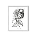 Picture of Flowers and leaves II _GroupedProduct_Rectangle_Portrait_Framed_Matted_