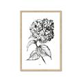 Picture of Flowers and leaves II _GroupedProduct_Rectangle_Portrait_Framed_Matted_