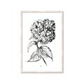 Picture of Flowers and leaves II _GroupedProduct_Rectangle_Portrait_Framed_Matted_