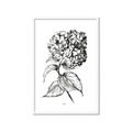 Picture of Flowers and leaves II _GroupedProduct_Rectangle_Portrait_Framed_Matted_