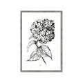 Picture of Flowers and leaves II _GroupedProduct_Rectangle_Portrait_Framed_Matted_