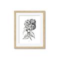 Picture of Flowers and leaves II _GroupedProduct_Rectangle_Portrait_Framed_Matted_