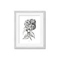 Picture of Flowers and leaves II _GroupedProduct_Rectangle_Portrait_Framed_Matted_