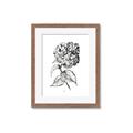 Picture of Flowers and leaves II _GroupedProduct_Rectangle_Portrait_Framed_Matted_