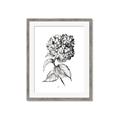 Picture of Flowers and leaves II _GroupedProduct_Rectangle_Portrait_Framed_Matted_