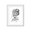Picture of Flowers and leaves II _GroupedProduct_Rectangle_Portrait_Framed_Matted_