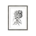 Picture of Flowers and leaves II _GroupedProduct_Rectangle_Portrait_Framed_Matted_