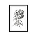 Picture of Flowers and leaves II _GroupedProduct_Rectangle_Portrait_Framed_Matted_