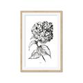 Picture of Flowers and leaves II _GroupedProduct_Rectangle_Portrait_Framed_Matted_