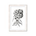 Picture of Flowers and leaves II _GroupedProduct_Rectangle_Portrait_Framed_Matted_