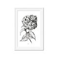 Picture of Flowers and leaves II _GroupedProduct_Rectangle_Portrait_Framed_Matted_