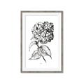 Picture of Flowers and leaves II _GroupedProduct_Rectangle_Portrait_Framed_Matted_